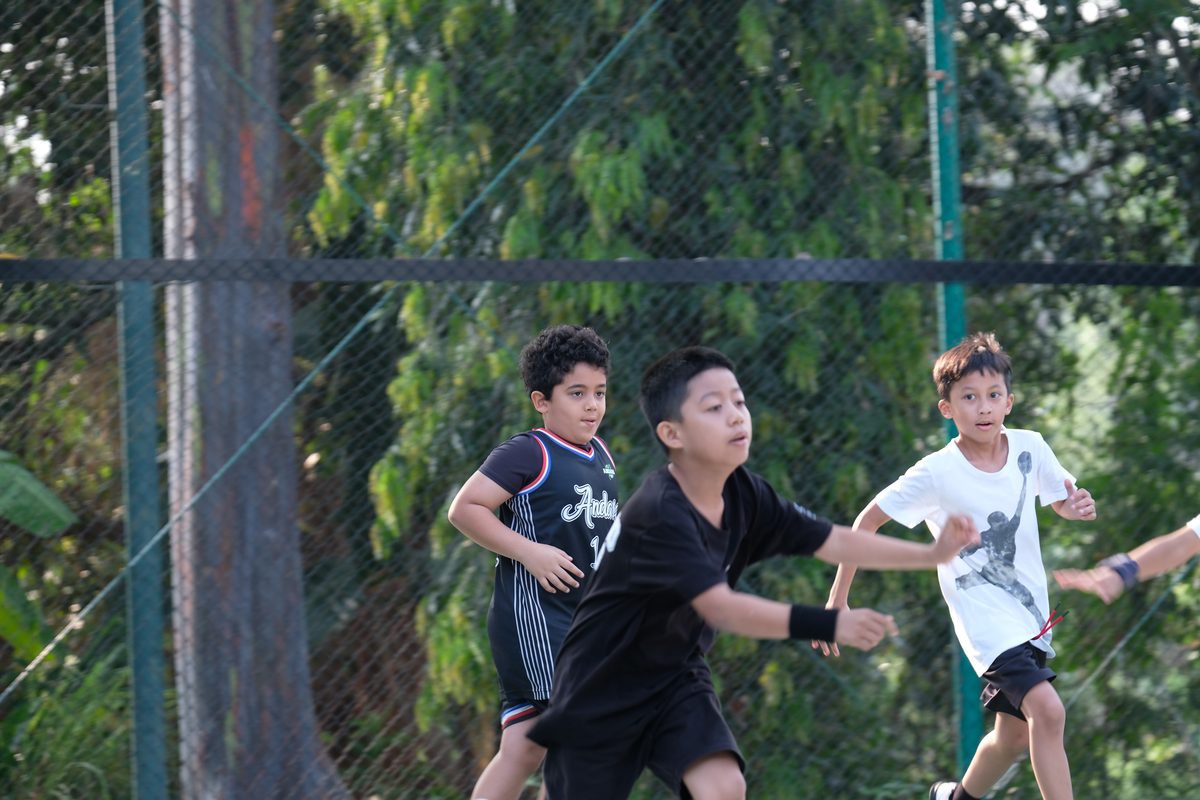 Basket 5