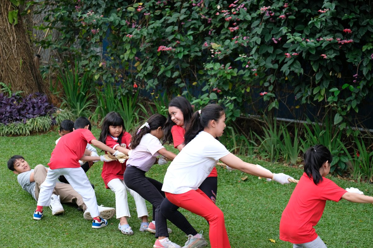 Tarik Tambang 6
